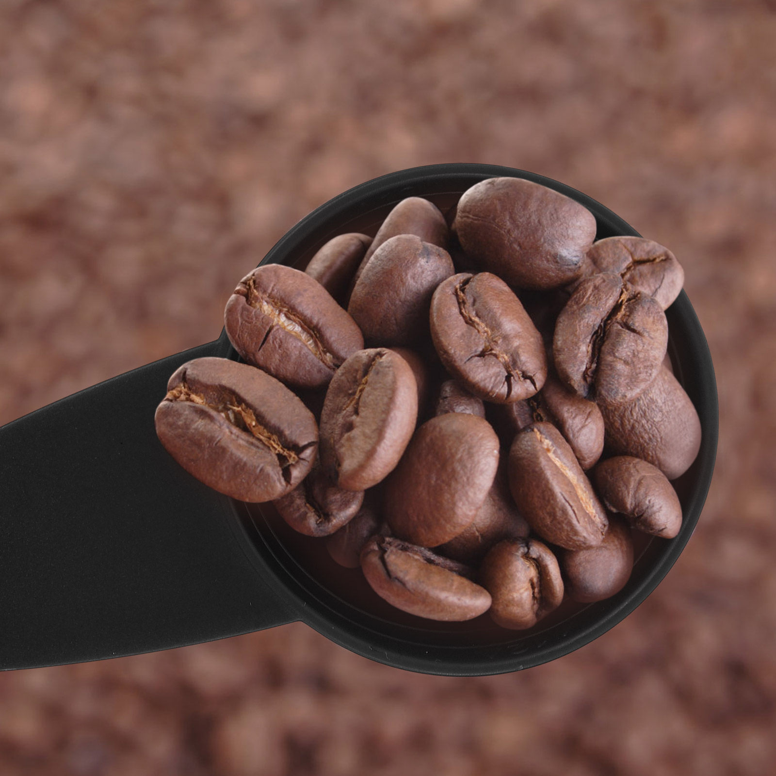 5Pcs Measure Spoon Long Handle - Coffee Tea Spoon ulasan dan harga